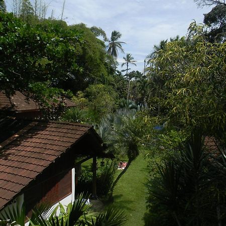 Chalet Y Cabinas Hibiscus Cahuita Eksteriør bilde