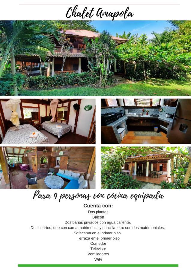 Chalet Y Cabinas Hibiscus Cahuita Eksteriør bilde