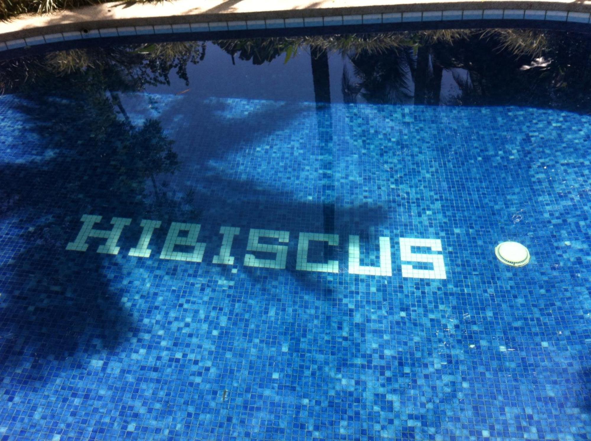 Chalet Y Cabinas Hibiscus Cahuita Eksteriør bilde