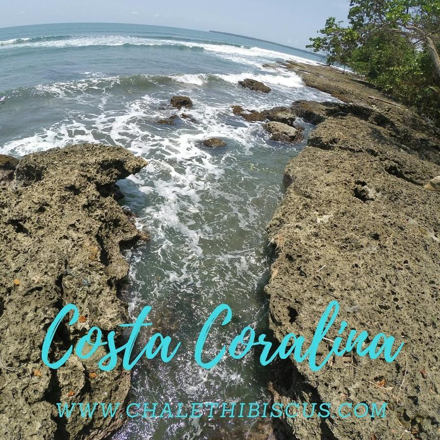 Chalet Y Cabinas Hibiscus Cahuita Eksteriør bilde