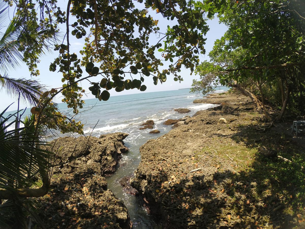 Chalet Y Cabinas Hibiscus Cahuita Eksteriør bilde